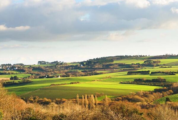 Alexandre Reis Advogado - Regularização Fundiária